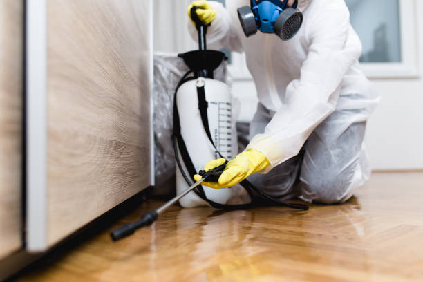 Best Affordable Pest Control Services  in Wendell, ID
