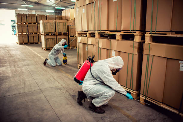 Best Cockroach Control Services  in Wendell, ID