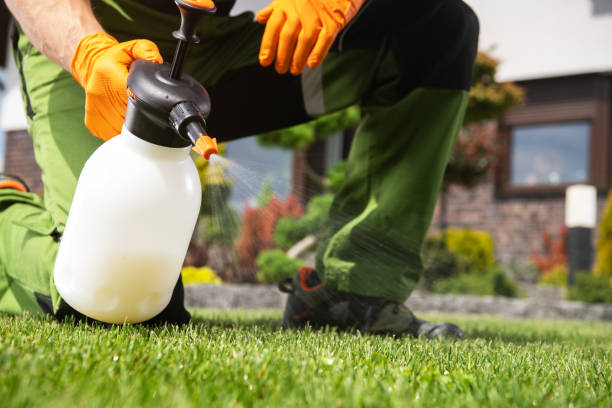 Best Insect Control  in Wendell, ID