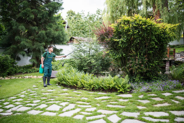 Best Pest Prevention Services  in Wendell, ID