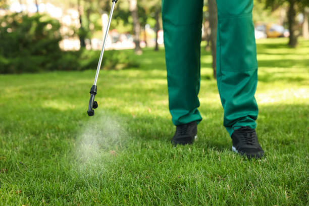 Best Bed Bug Extermination  in Wendell, ID