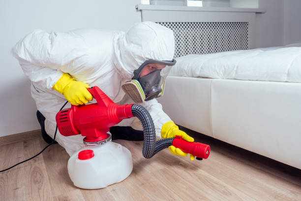 Reliable Wendell, ID Pest Control Solutions
