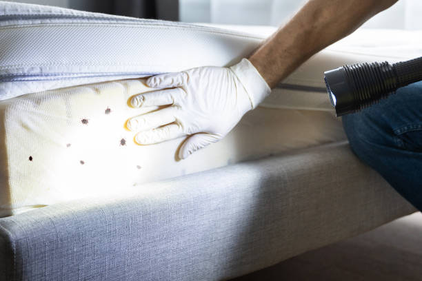 Best Wildlife Control Services  in Wendell, ID