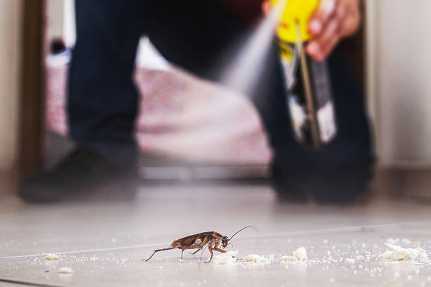 Best Best Pest Control Companies  in Wendell, ID