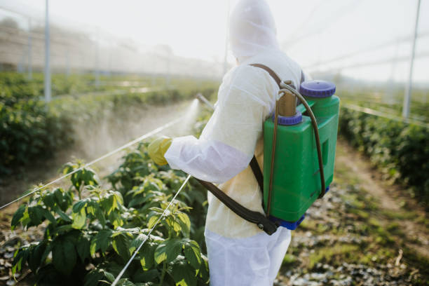 Best Emergency Pest Control  in Wendell, ID